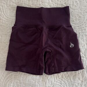 Ryderwear Dark Purple Bike Shorts
